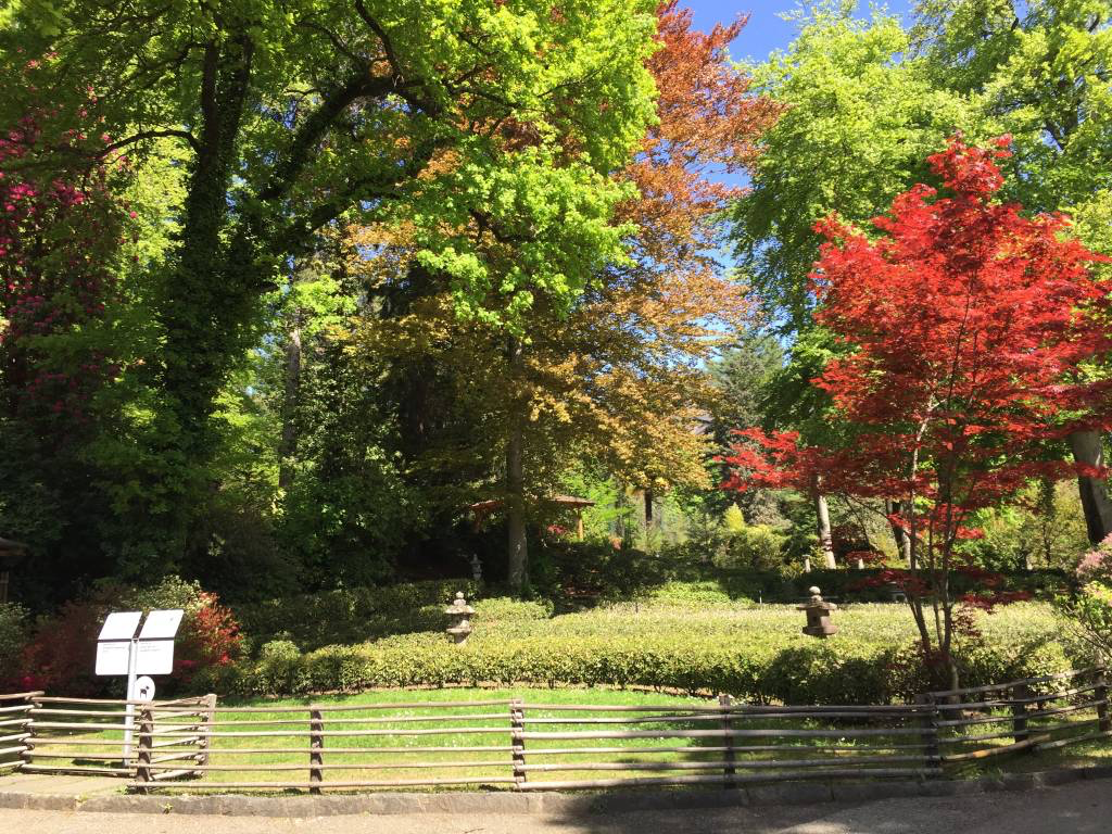 “La collina delle utopie”, su Rai 3 la storia del Monte Verità di Ascona