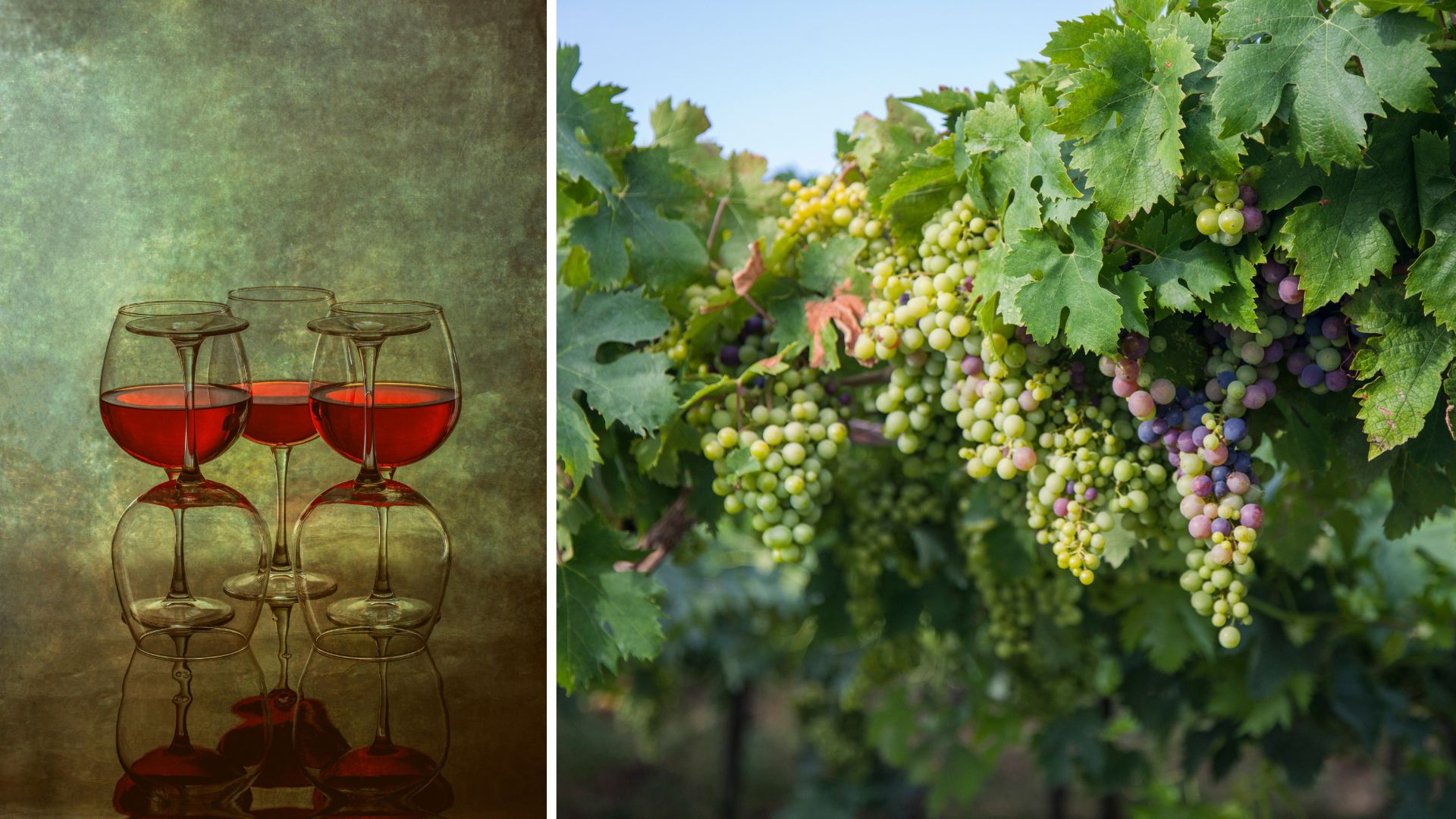 eventi vino maggio 2026