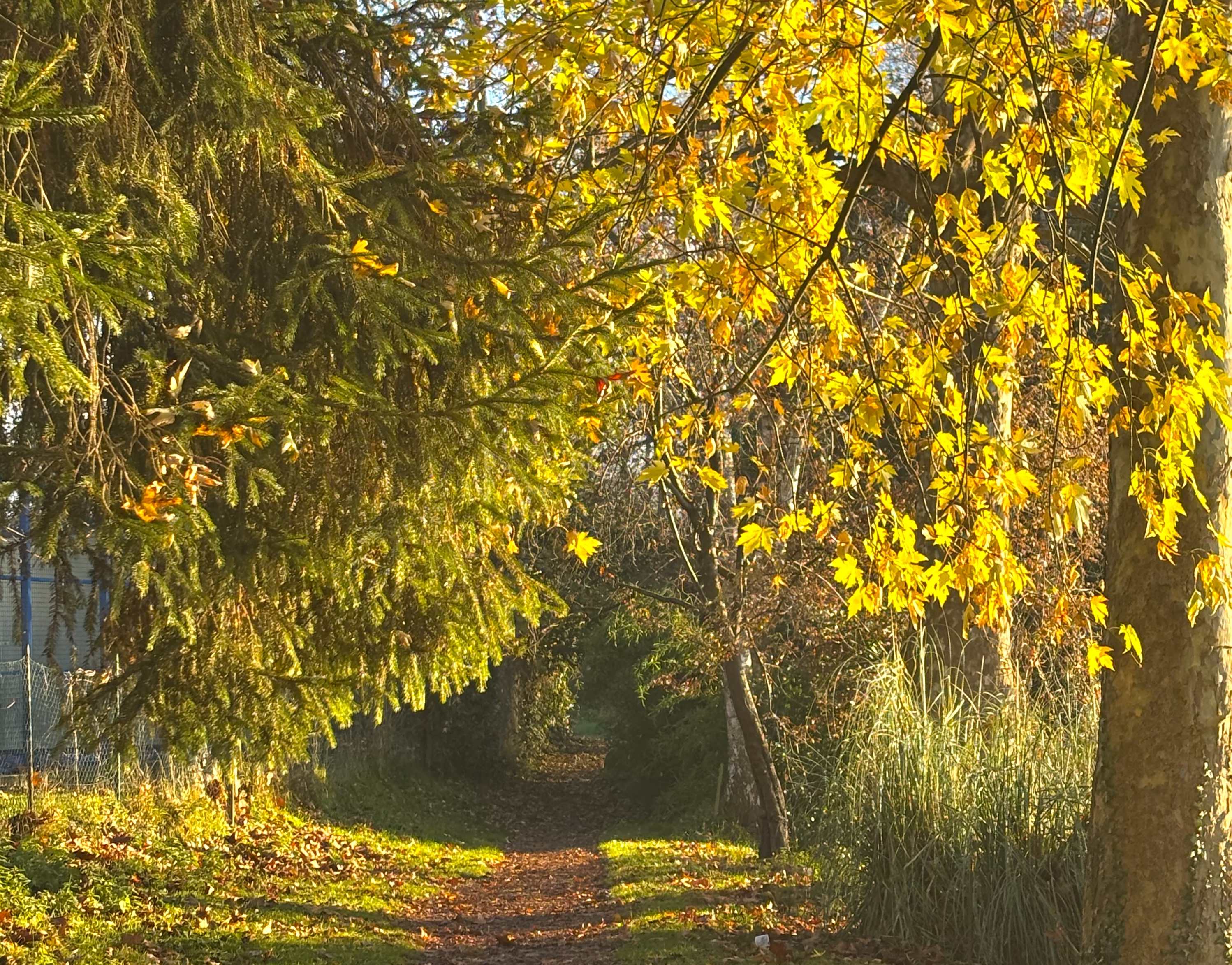 autunno